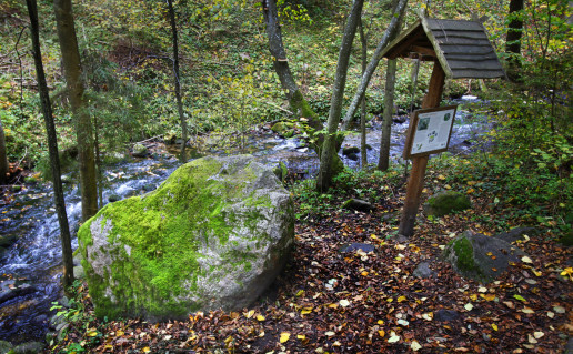 22_Saides pazintinis takas1 (3).jpg